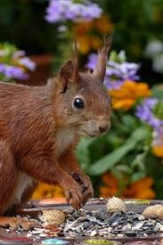 &quot;Flower Delivery Stratford Nj